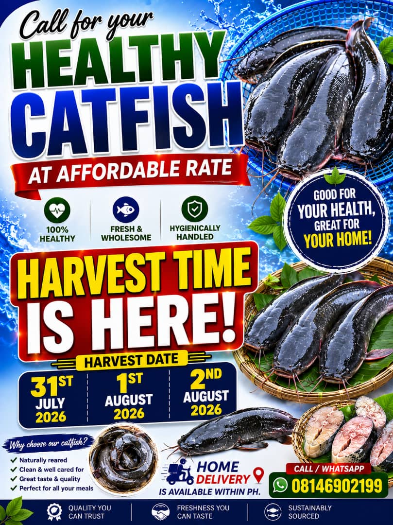 Organic and hygienic catfish